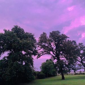 Meet your Posher, Alyza